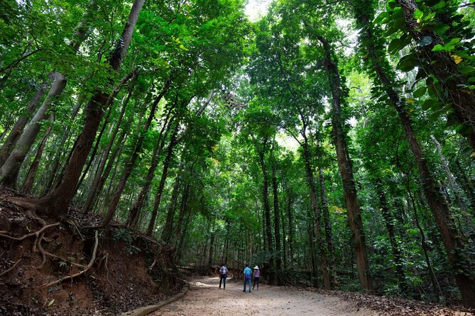 Nature Tour to Udawatte Kele Sanctuary, Kandy From Bentota - Logistics
