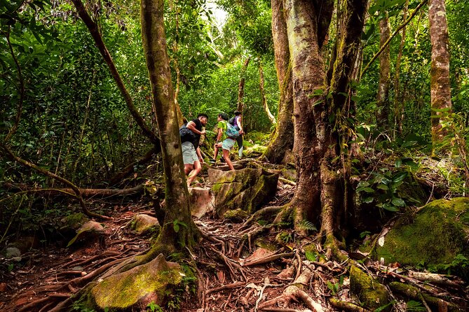 Nature Trail - Morne Blanc (Mahe) - The Sum Up