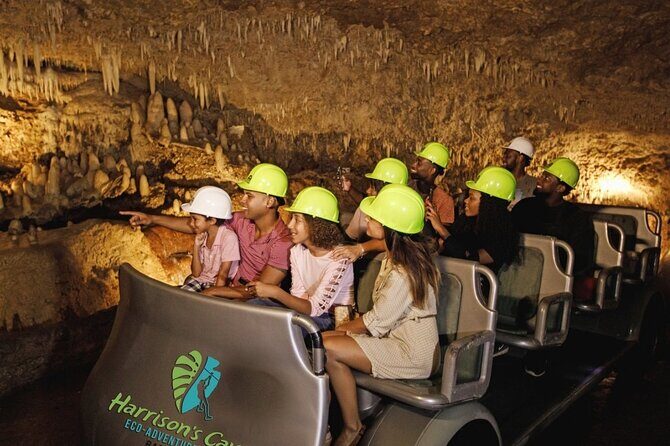 Nature Trail, Tram & Rum Tasting at Harrison's Cave by Chukka - Who is This Tour Best For?
