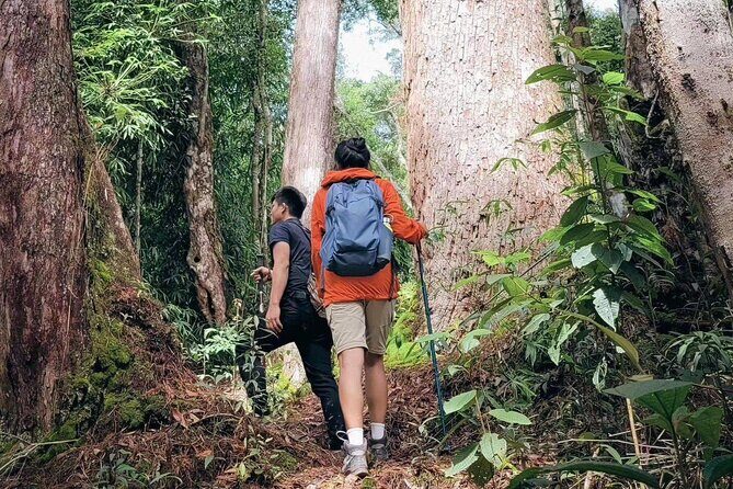Nature Trails & Guided Adventures in Cuc Phuong National Park - Good To Know