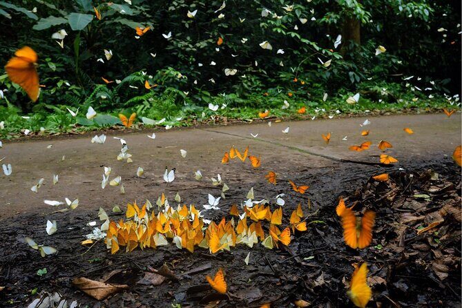 Nature Trails & Guided Adventures in Cuc Phuong National Park - Exploring the Itinerary in Detail