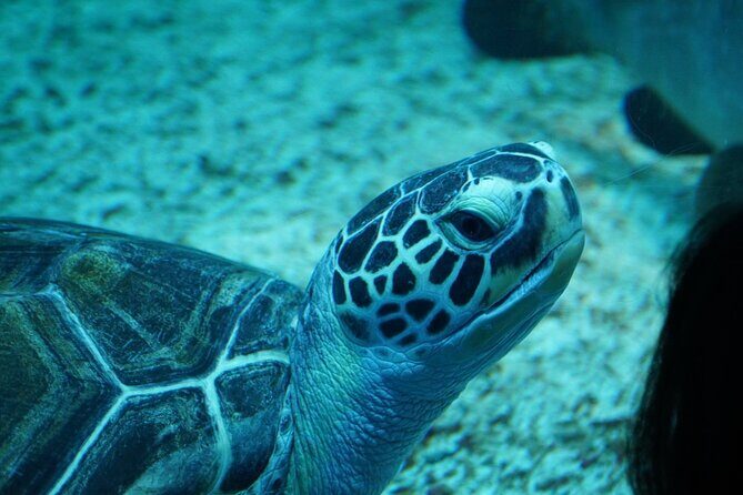 Nature Trip in Uljin - Who Is This Tour Best Suited For?