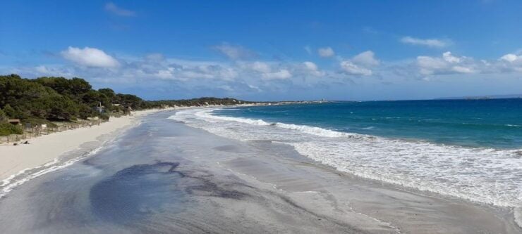 NATURE WALK + BEACH, YOGA & OPTION OF HEALTHY BIO PICKNICK - Languages and Inclusions