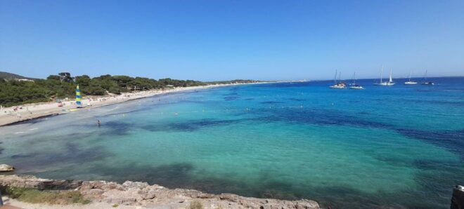 NATURE WALK + BEACH, YOGA & OPTION OF HEALTHY BIO PICKNICK - Pickup and Drop-off Locations