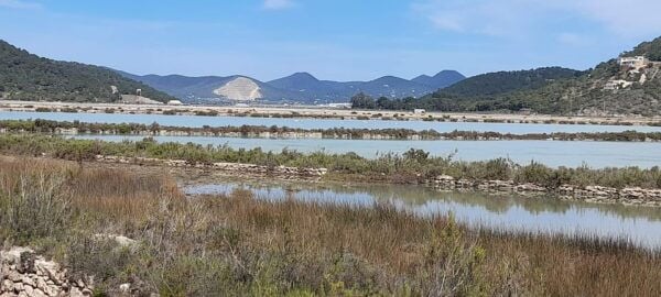NATURE WALK + BEACH, YOGA & OPTION OF HEALTHY BIO PICKNICK - Itinerary and Options