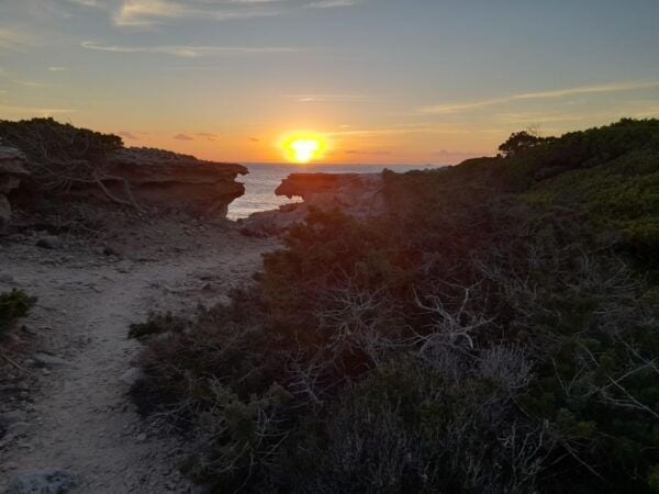 NATURE WALK + BEACH, YOGA & OPTION OF HEALTHY BIO PICKNICK - Logistics and Additional Information