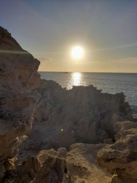 NATURE WALK + BEACH, YOGA & OPTION OF HEALTHY BIO PICKNICK - The Sum Up