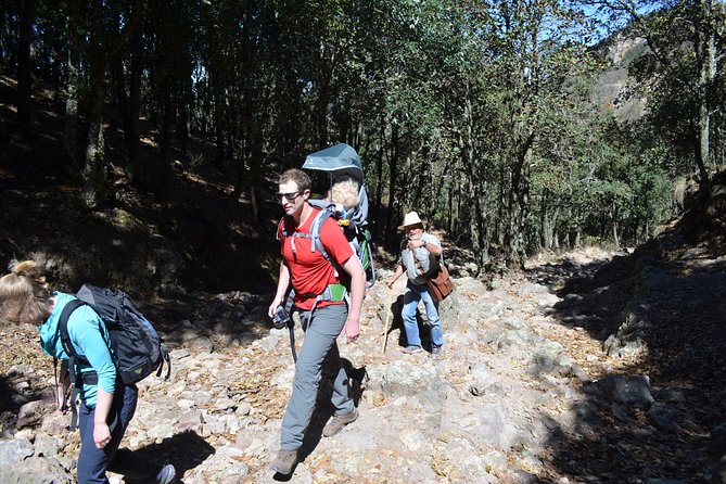 Nature Walk - Bufa Hill or Santa Rosa Area - Overview of Bufa Hill and Santa Rosa Area