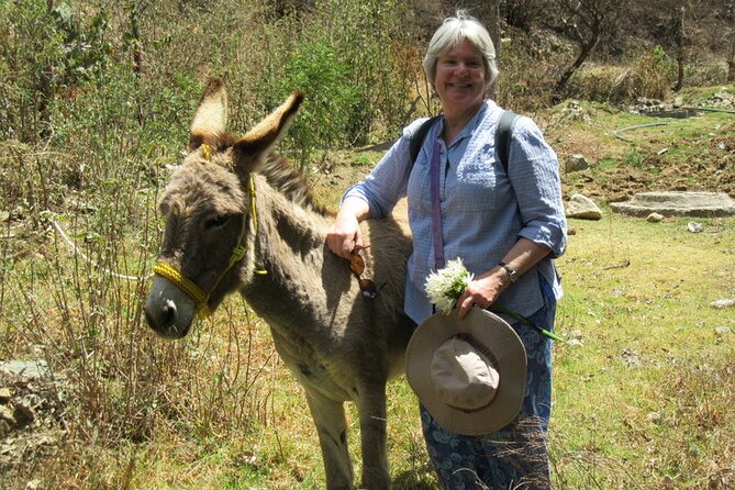 Nature Walk - Bufa Hill or Santa Rosa Area - Tips for a Successful Nature Walk