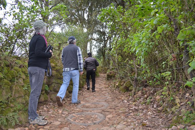 Nature Walk - Bufa Hill or Santa Rosa Area - Common Questions