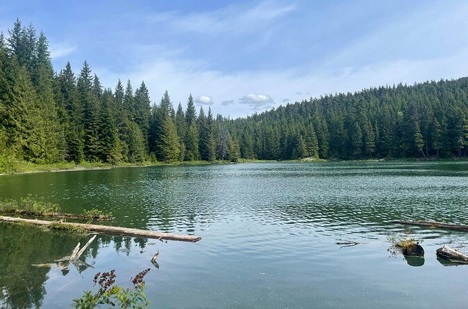 Nature Walk - Final Thoughts: Is It Worth It?