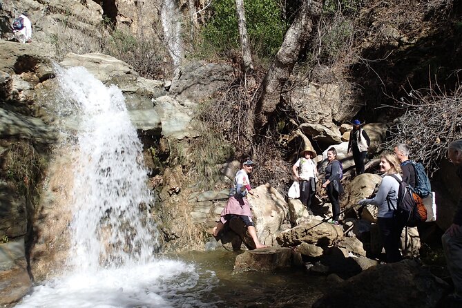 Nature Walk/Hike Tour Near Disneyland: ID Plants & Wildlife - Plant Identification Tips