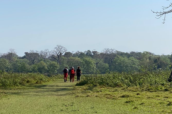 Nature Walk in Chitwan Jungle Safari With Guide - Wildlife Encounters on the Nature Walk