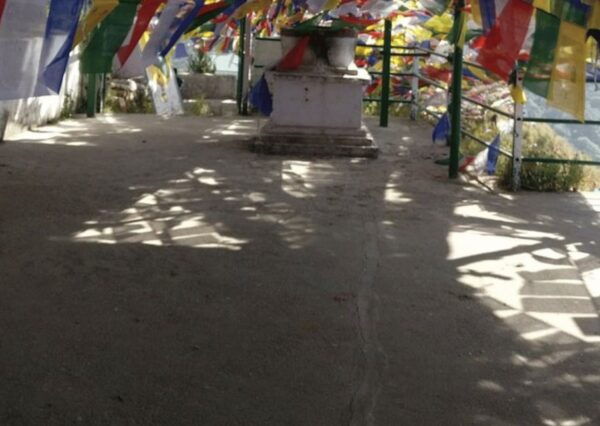 Nature Walk of Mussoorie (2 Hours Guided Walking Tour) - The Sum Up