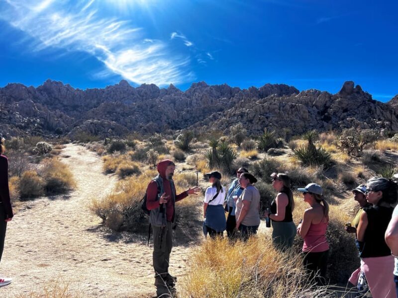 Nature Walk+Cacao Ceremony+Soundbath Meditation- Joshua Tree - FAQ