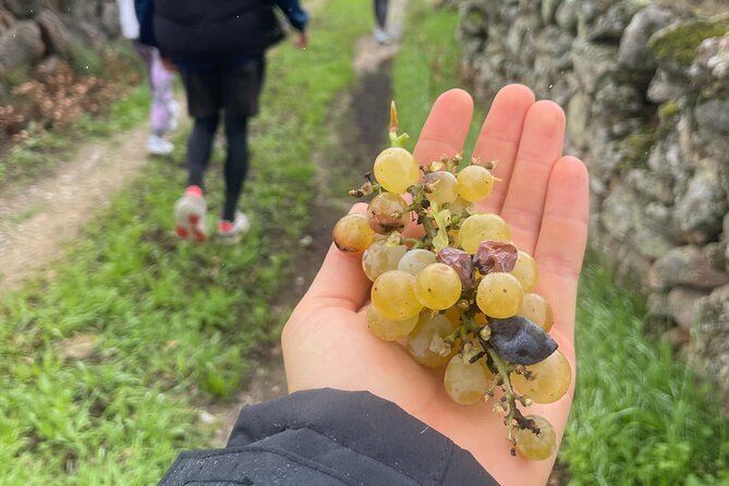 Nature Walks in Marvão - Inclusions
