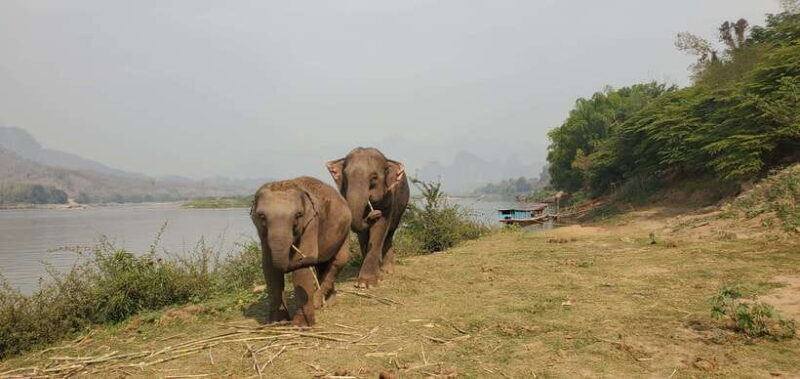 Nature wellness retreat - Good To Know