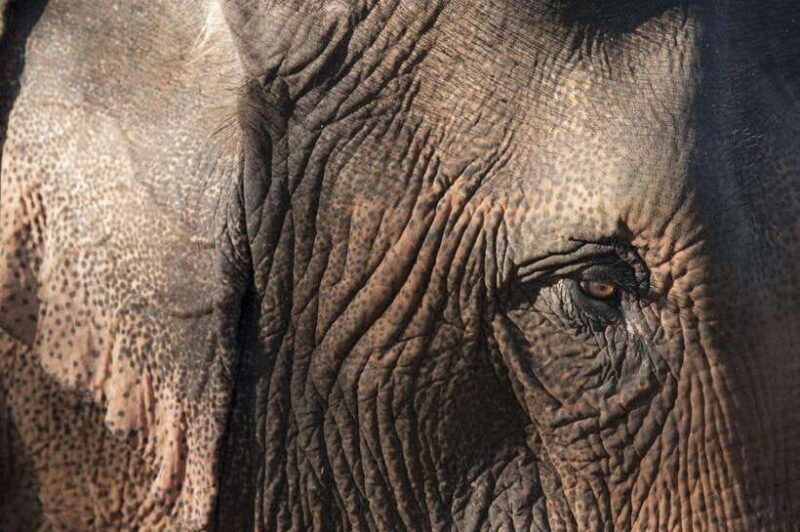 Nature wellness retreat - Discovering Luang Prabang’s Unique Spirit