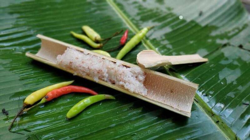 Nature wellness retreat - What Makes This Retreat Special?