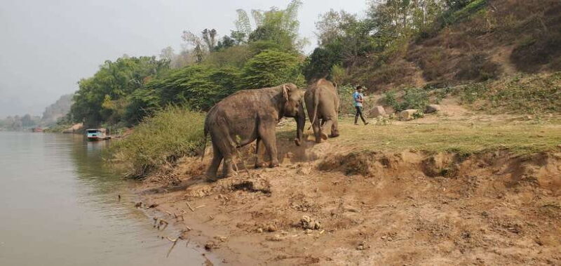 Nature wellness retreat - Exploring the Details: What to Expect on This Retreat