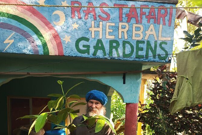 NatureCures Tropical Food Forest 12 Day Group Experience - A Deep Dive into the 12-Day Jamaican Adventure