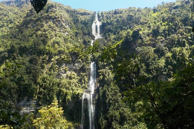 Nature's Majesty Unveiled: La Chorrera Waterfall Excursion - Good To Know