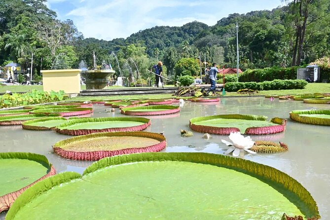 NatureTour :PenangHill(FastLane),BotanicGarden,KekLokSi,Ferringhi - Additional Tour Information