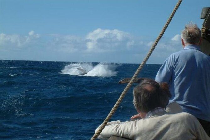 Nau Santa Maria - What the Reviewer Had to Say