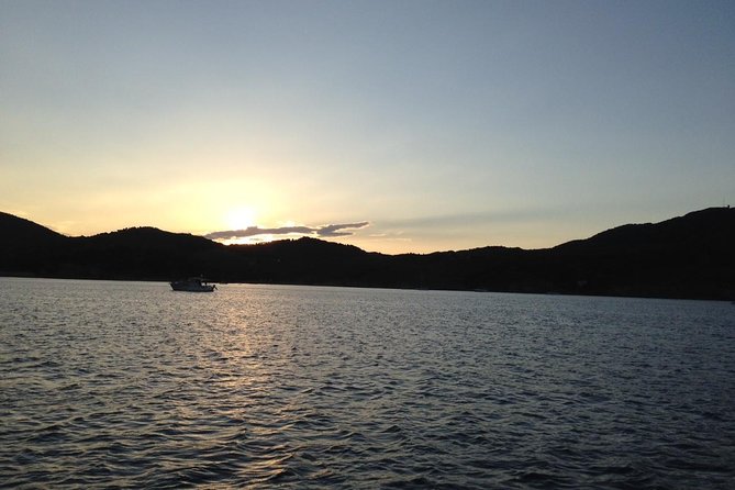 Nausicaa. Discover Collioure and the Vermilion Coast From the Sea. - The Sum Up