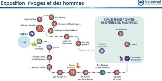 Nausicaá National Sea Center: Full-Day Entry Ticket - New Experience 2022