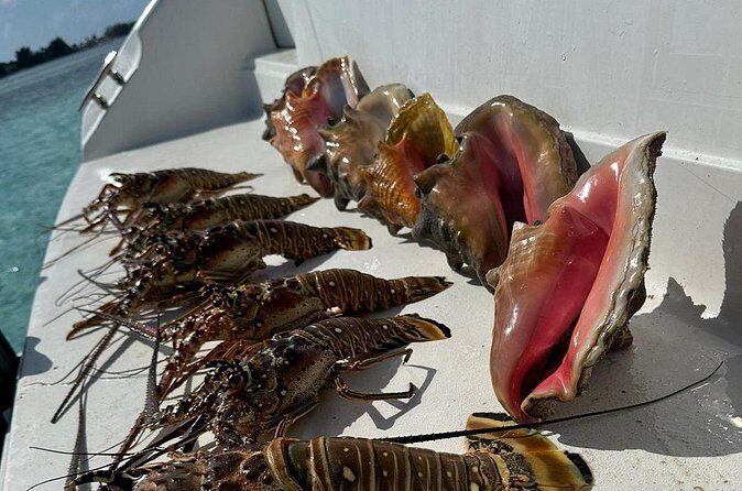 Nauti Dreams Private Boat Charter - Is This Tour Worth It?