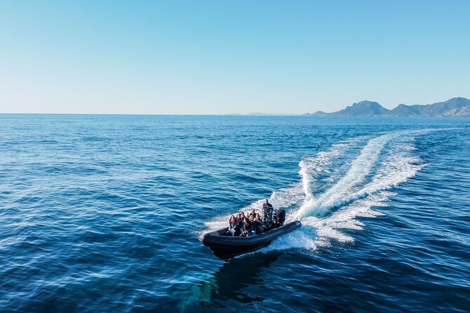 Nautical Excursion - Cannes/St Tropez - The Sum Up