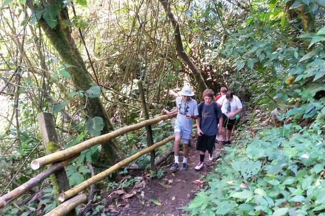 Nauyaca Waterfalls Nature Park From Manuel Antonio - Why Visit Nauyaca Waterfalls Nature Park?