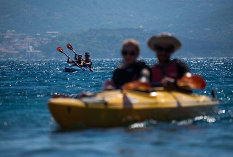 Navarino Bay: Sea Kayaking With Lunch - Experience Highlights