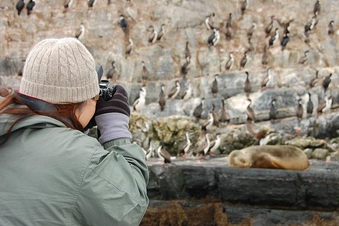 Navigation Beagle Channel Isla De Lobos - Tour Operator Information