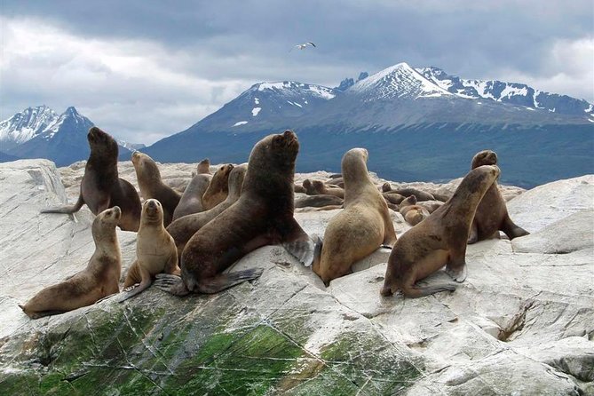 Navigation Beagle Channel Isla De Lobos - Meeting and End Points