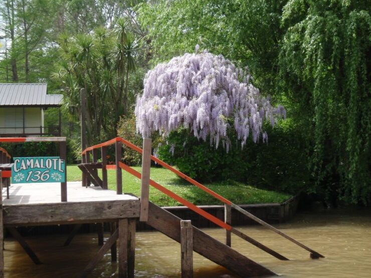 Navigation in Tigre - Buenos Aires - Semi Private Tour - Highlights