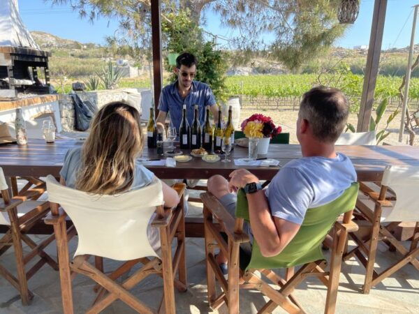 Naxos: Cheese and Wine Private Food Tour - Farm Visit