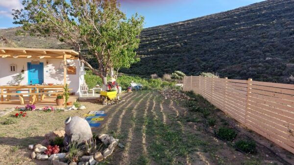Naxos: Cooking Class, Animal Farm Experience With Meal - Frequently Asked Questions