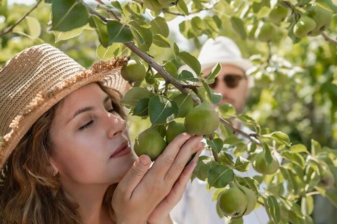 Naxos: Cooking Experience Near Kouros, Tour and Live Music - Exploring the Scenic Kouros Area