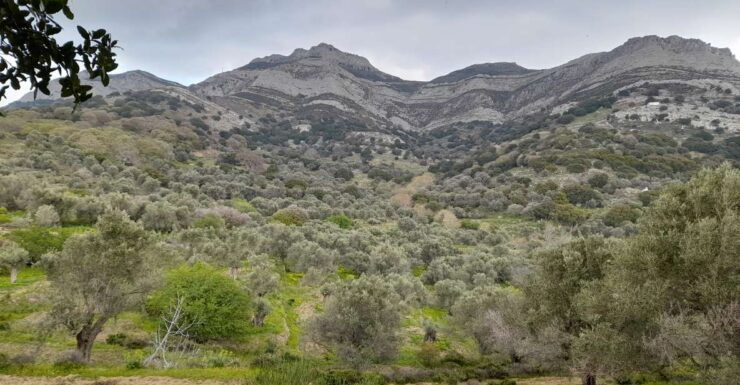 Naxos: Countryside Hike Among Villages & Byzantine Churches - Experience