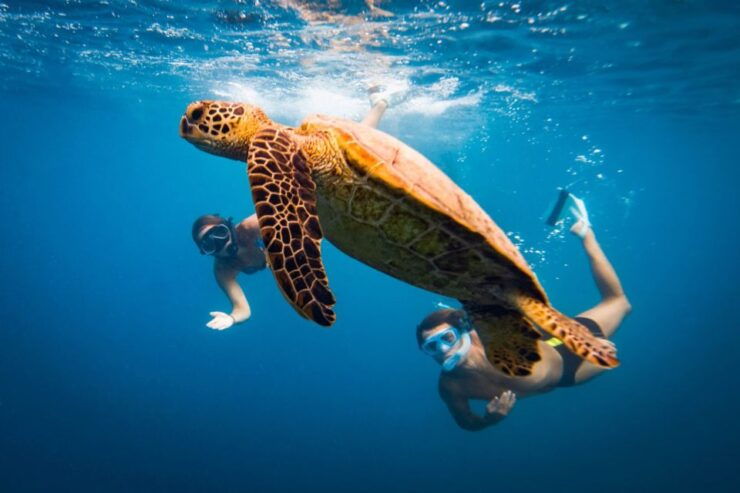 Naxos: Discover Scuba Diving on Agios Georgios Beach - Experience Highlights