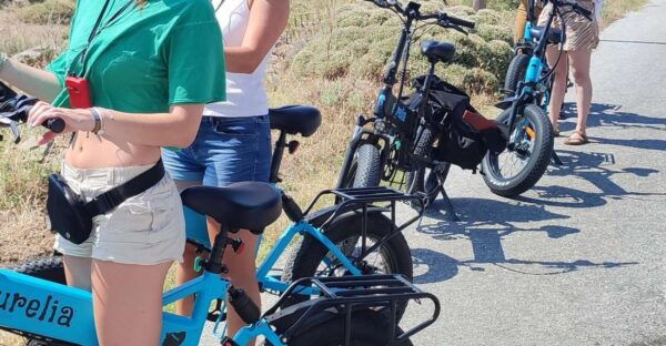 Naxos: E-Bike Guided Tour With Light Farmyard Lunch - Background
