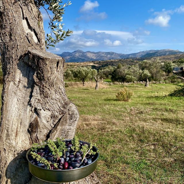 Naxos: Explore Naxian Food Through Your 5 Senses - Taking in Naxian Nature