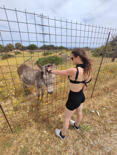 Naxos: Explore the Caves of the Unspoiledsouth-East Coast! - Reservation and Pricing