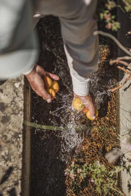 Naxos: Family Farm-table Cooking, Kouros Tour & Live Music - Frequently Asked Questions