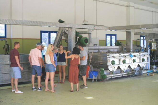 Naxos: Half-Day Olive Oil Tour With Tastings - Visit to a Modern Olive Oil Refinery
