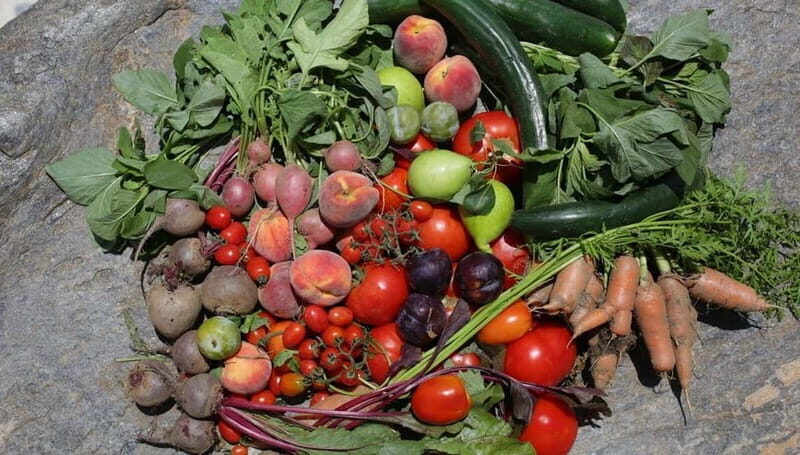 Naxos: Hands-On Cooking Class with Local Wine - Good To Know