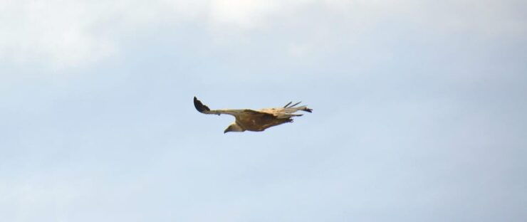 Naxos: Loop Trail to the Top of Cyclades Where Zeus Grew Up! - Trail Details and Difficulty