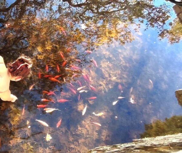 Naxos: Loop Trail to the Top of Cyclades Where Zeus Grew Up! - Booking Information and Cancellation Policy